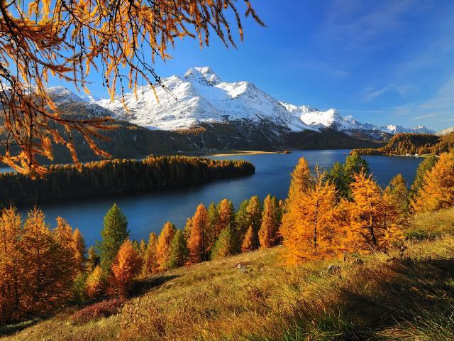 如何制定营销策略:你需要知道的一切 如何制定营销策略:你需要知道的一切